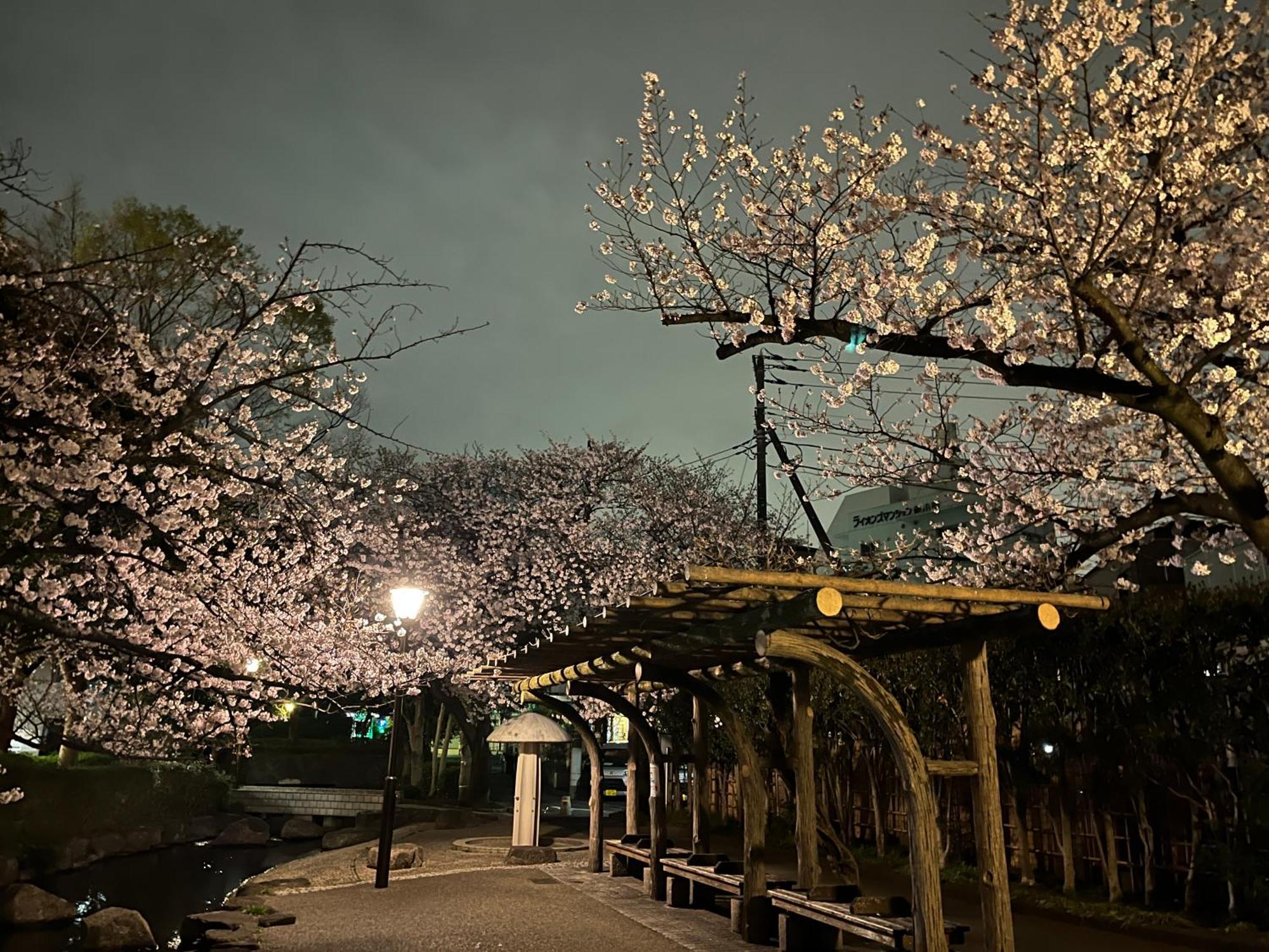 Ferienwohnung 松島雅居 Präfektur Tokio Exterior foto